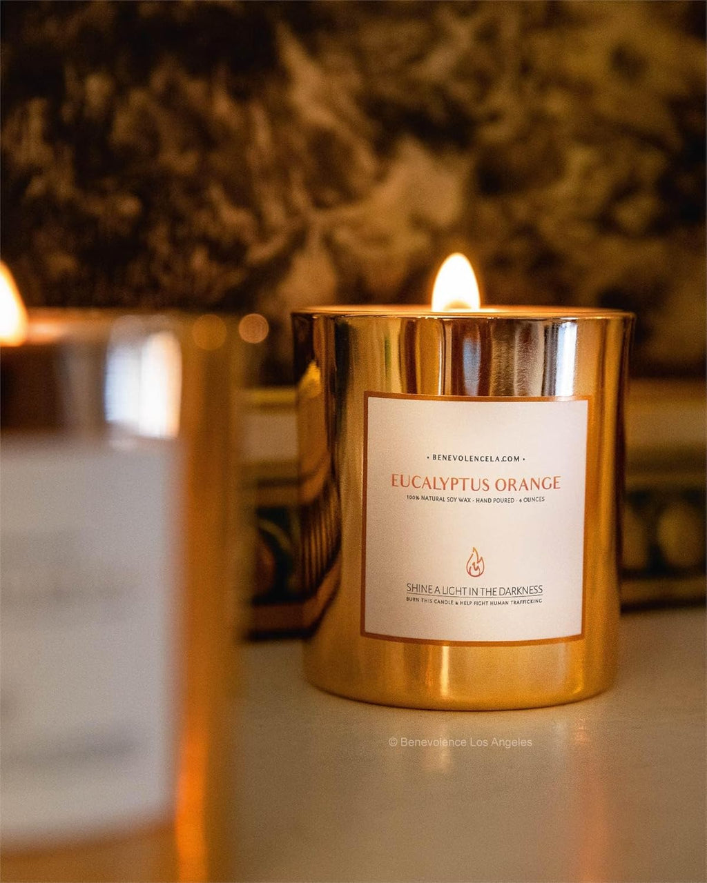 Eucalyptus Orange Wood Wick Candles | Soy Christmas Scented Candles for Home | Holiday Candle Gifts for Women and Men | Home Fragrance | Aromatherapy | Shelf Decor | 8Oz, 45 Hour Burn